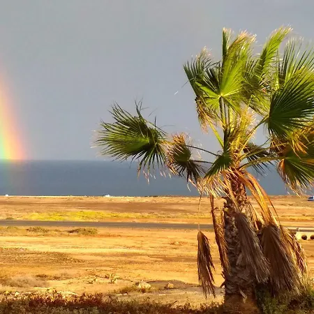 Surf Up Mit Meerblick Homestay *